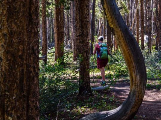 Fooses Creek Colorado Trail Buena Vista Salida Colorado Visitor