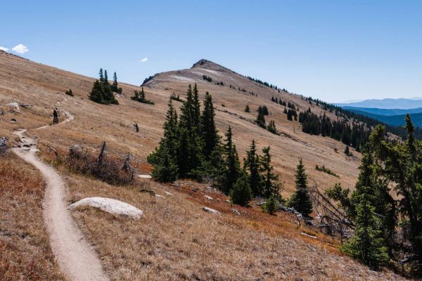 crest trail north: CDT to boss lake