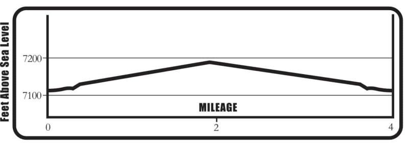 Salida_Trail_EP_FINAL_OUTLINES