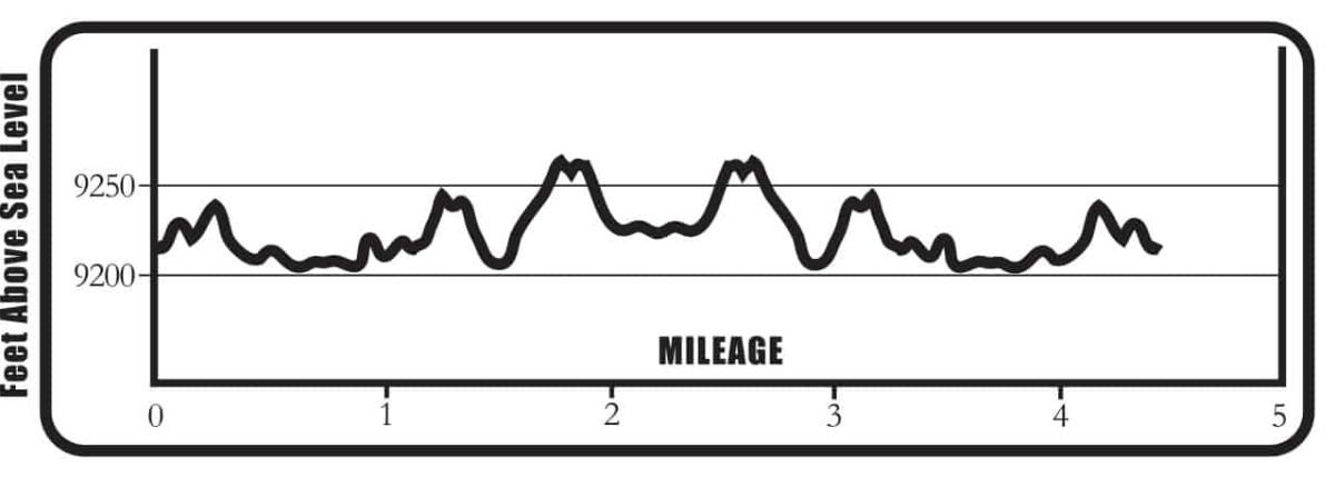 Lakeside_to_Interlaken_EP_Outlines