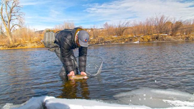 A person fishing in in the winter, pulling a fish from a net in the water