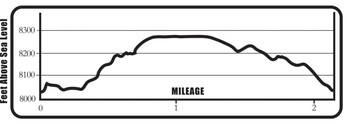 Barbara_Whipple_Trail_EP_Outlines