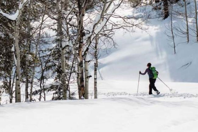 A person cross country skiing against a snowy background